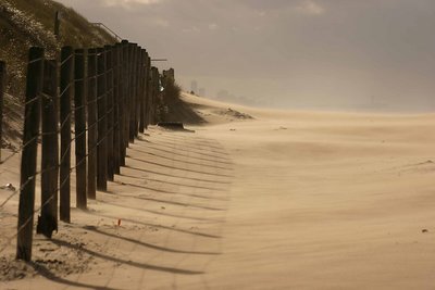 wind at the beach 