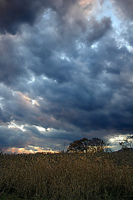 wind & clouds