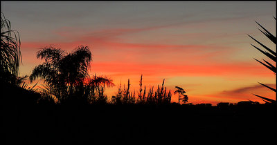 Sunset from the yard