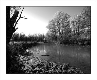 Late afternoon in the marsh -5-