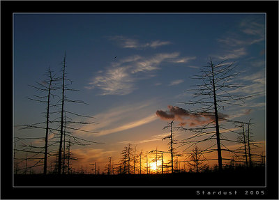 Another Sunset in Tundra