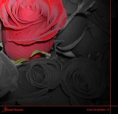 Love Or Sorrow..??