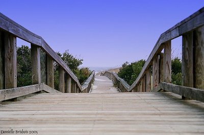 A Short  Walk to the Beach