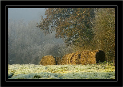 Hay! It's freezin' over here!