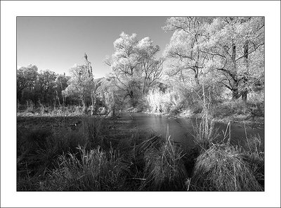 Late afternoon in the marsh -7-