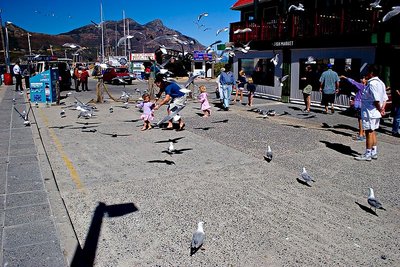 Fish Market