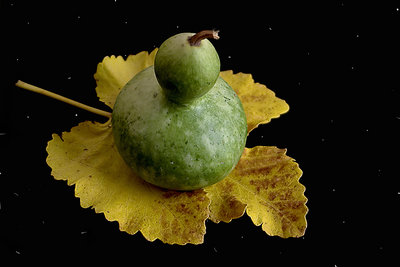 Autumn Fruit