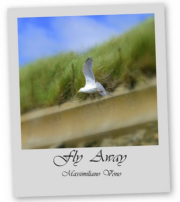 Fly Away