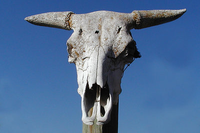 Skull in the Sky