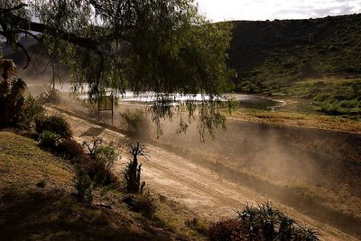 Dust