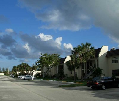 Florida Skies