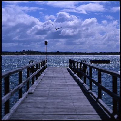 Albany Pier