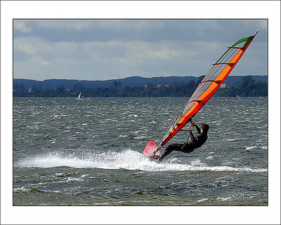 Windsurfer