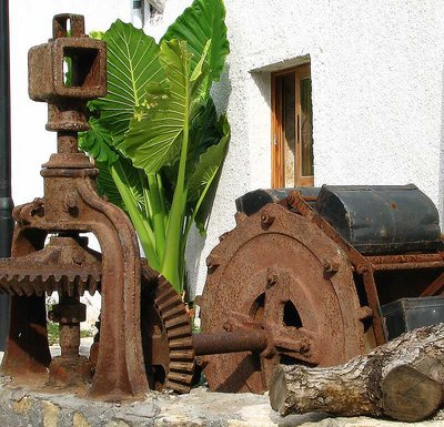 Water Wheel Well