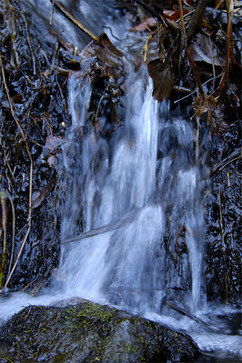 West Creek Waterfall 2