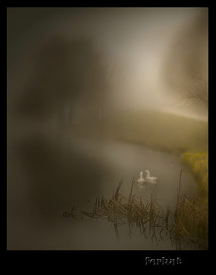 Night and fog did as like poem!