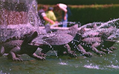Spitting Lizards