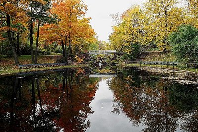 Autumn Serenade 1