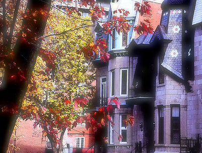 Autumn Serenade 3