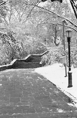 Snowy Morning Karl Shurz Park