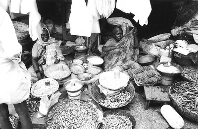 spice vendors