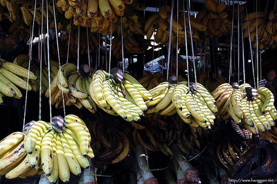 Republic of Banana
