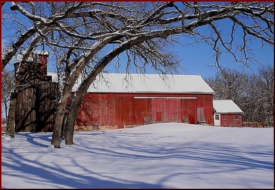 the oaks and the barn