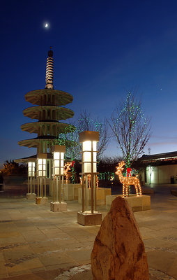 Holiday in Japantown