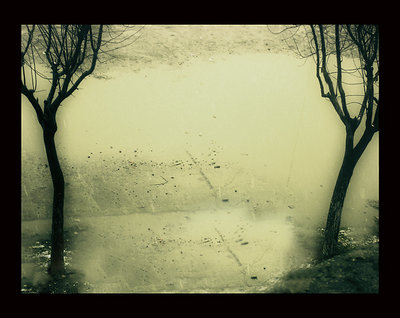 voices
