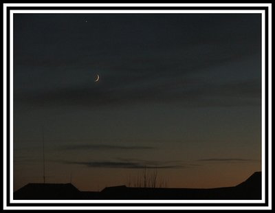 Mystic moon