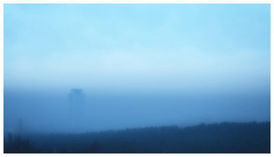 a foggy evening