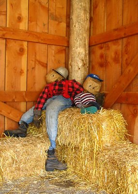 Barn Buddies