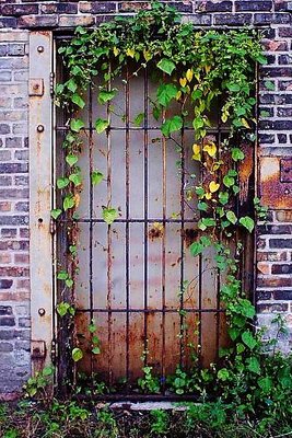 door and leaves