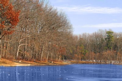 Turkey Swamp Park