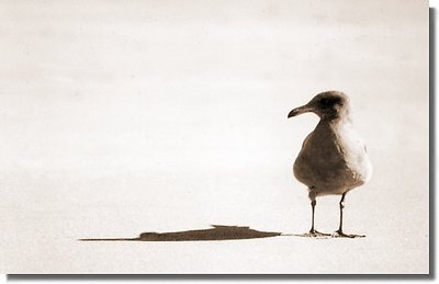 Alone at the beach II