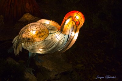 chinese lanterns 20