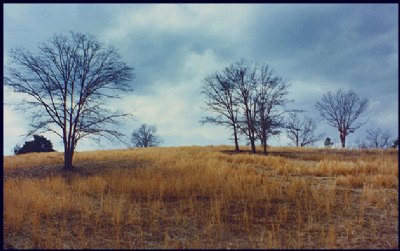   Broad River Hills: 1982  (VINTAGE)