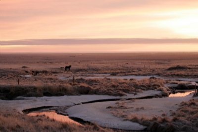 Icelandic Sunset