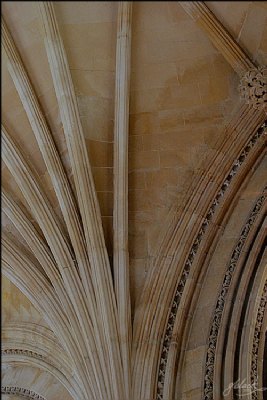 Vault