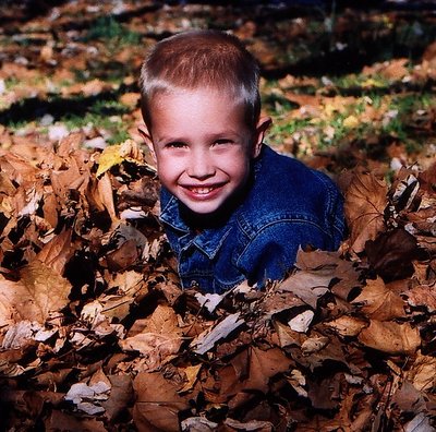 Did you rake these for me?