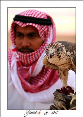 A Falconer