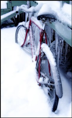 Icy Bike