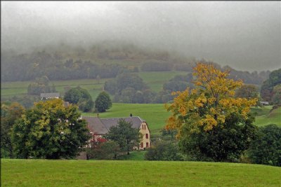 Misty autumn