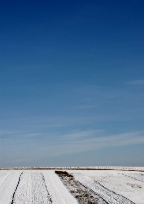 winter landscape