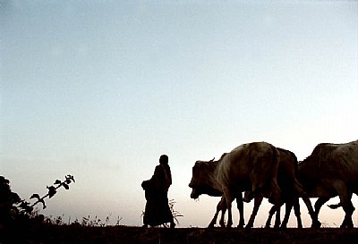 Returning home