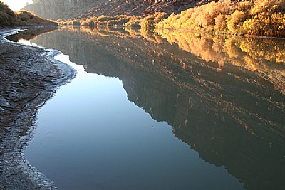 Reflection of a Fall Spectrum