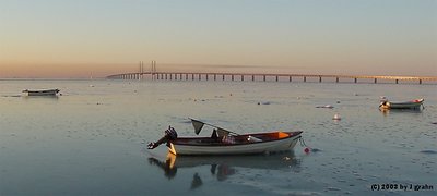 The Brige