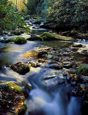 STREAM IN SMOKIES