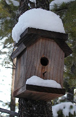 Snow Bird House