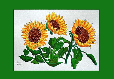 Sunflowers (watercolor)